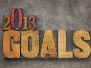 goals for 2013