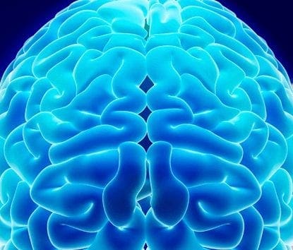 brain power